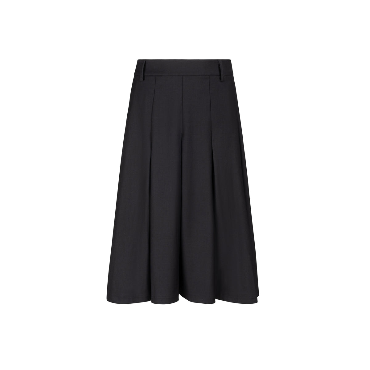 Pleated Skirt